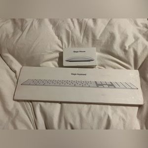 Apple Magic Mouse 2 and keyboard